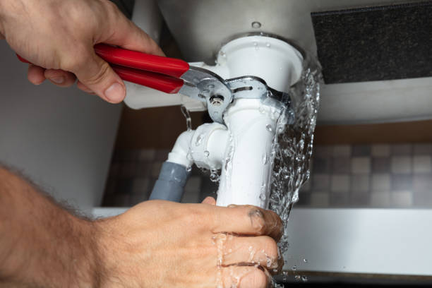 Best Professional water damage repair  in Oak Grove, TN