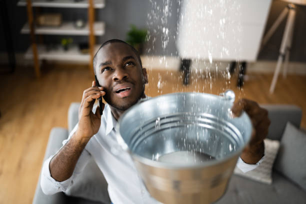 Best Local water damage restoration  in Oak Grove, TN