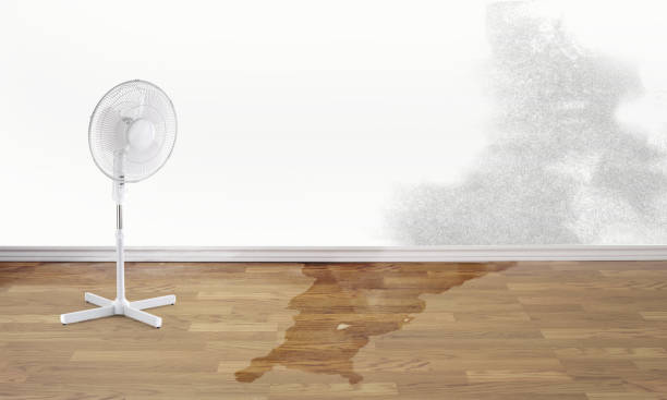  Oak Grove, TN Water damage restoration Pros