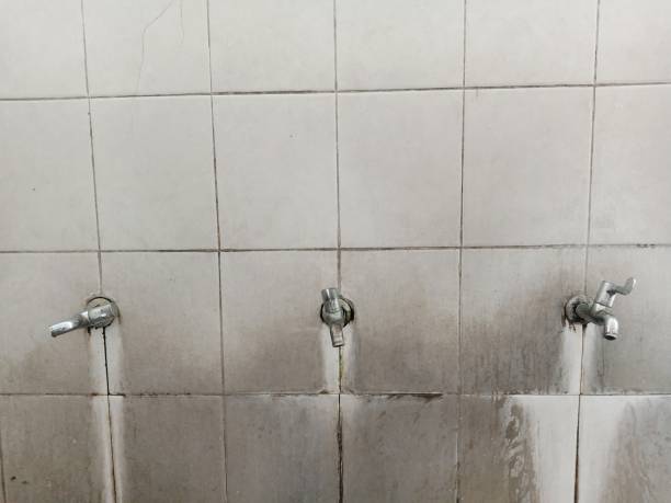Best Ceiling water damage repair  in Oak Grove, TN