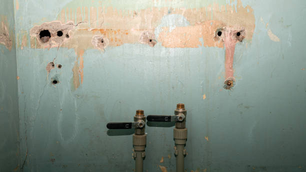 Best Flooded house restoration  in Oak Grove, TN
