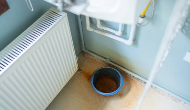 Best Ceiling water damage repair  in Oak Grove, TN