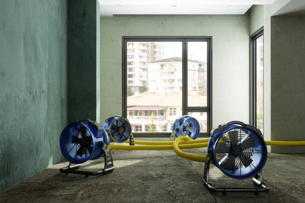 Best 24/7 water damage repair  in Oak Grove, TN